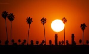 A dramatic sunset silhouette of palm trees and industrial structures in Redlands, California.