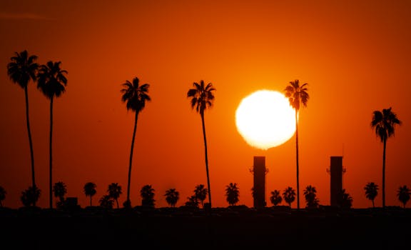 A dramatic sunset silhouette of palm trees and industrial structures in Redlands, California.