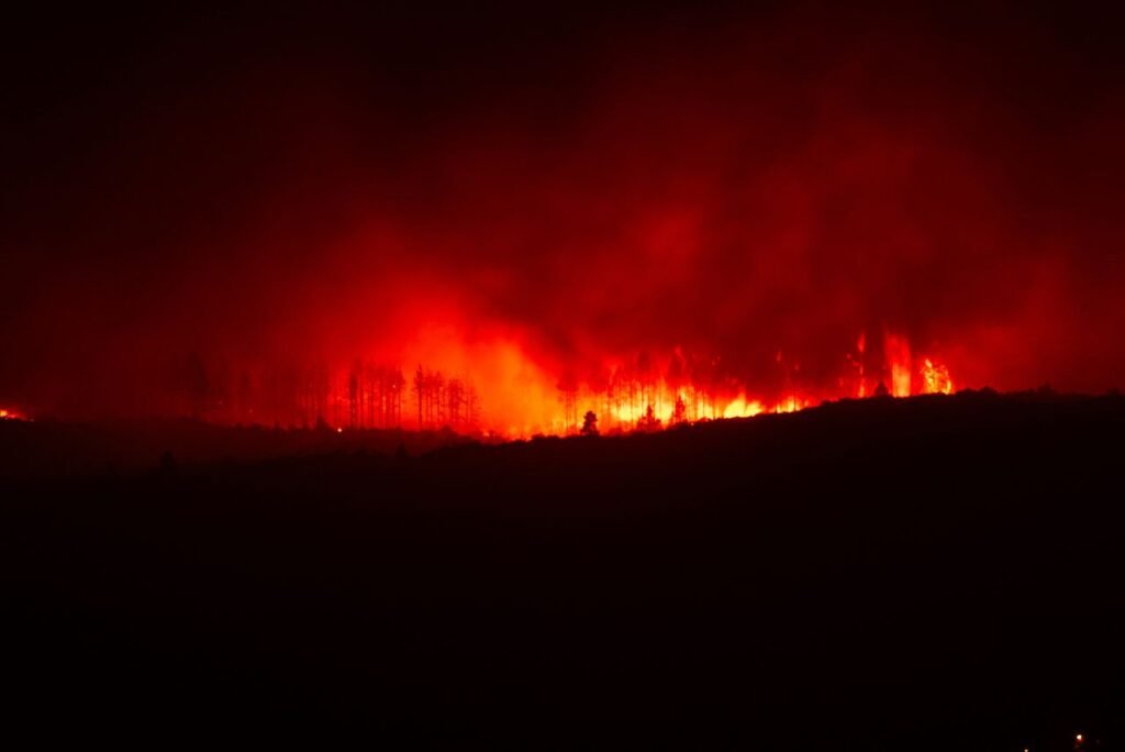 Intense forest fire illuminating the night sky in rural Spain, emphasizing the destructive force of nature.