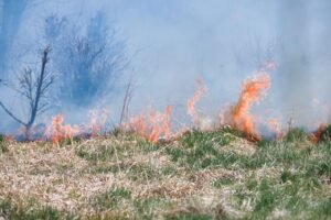 pexels photo 37320893 37320893 Wildfire burning in a field near woodland in Poprad, Slovakia, showcasing fire behavior and its effects.