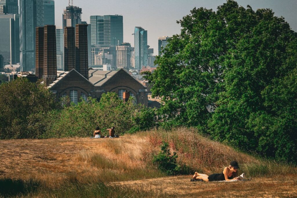 A serene summer scene with people enjoying leisure time in Greenwich Park, London, with the city skyline in the background.